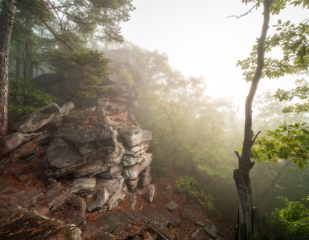 FELSEN IM NEBEL
