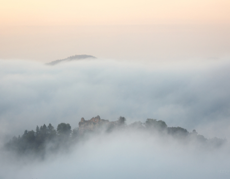 BURGRUINE MEISTERSEL